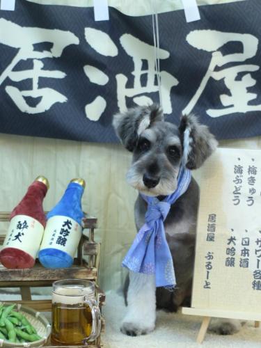 20240626オズくん